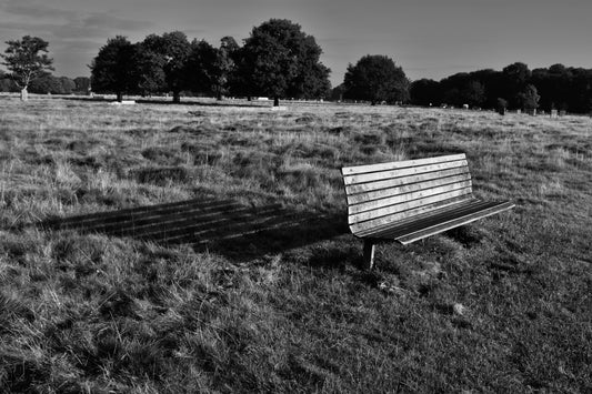 Park bench Black & White